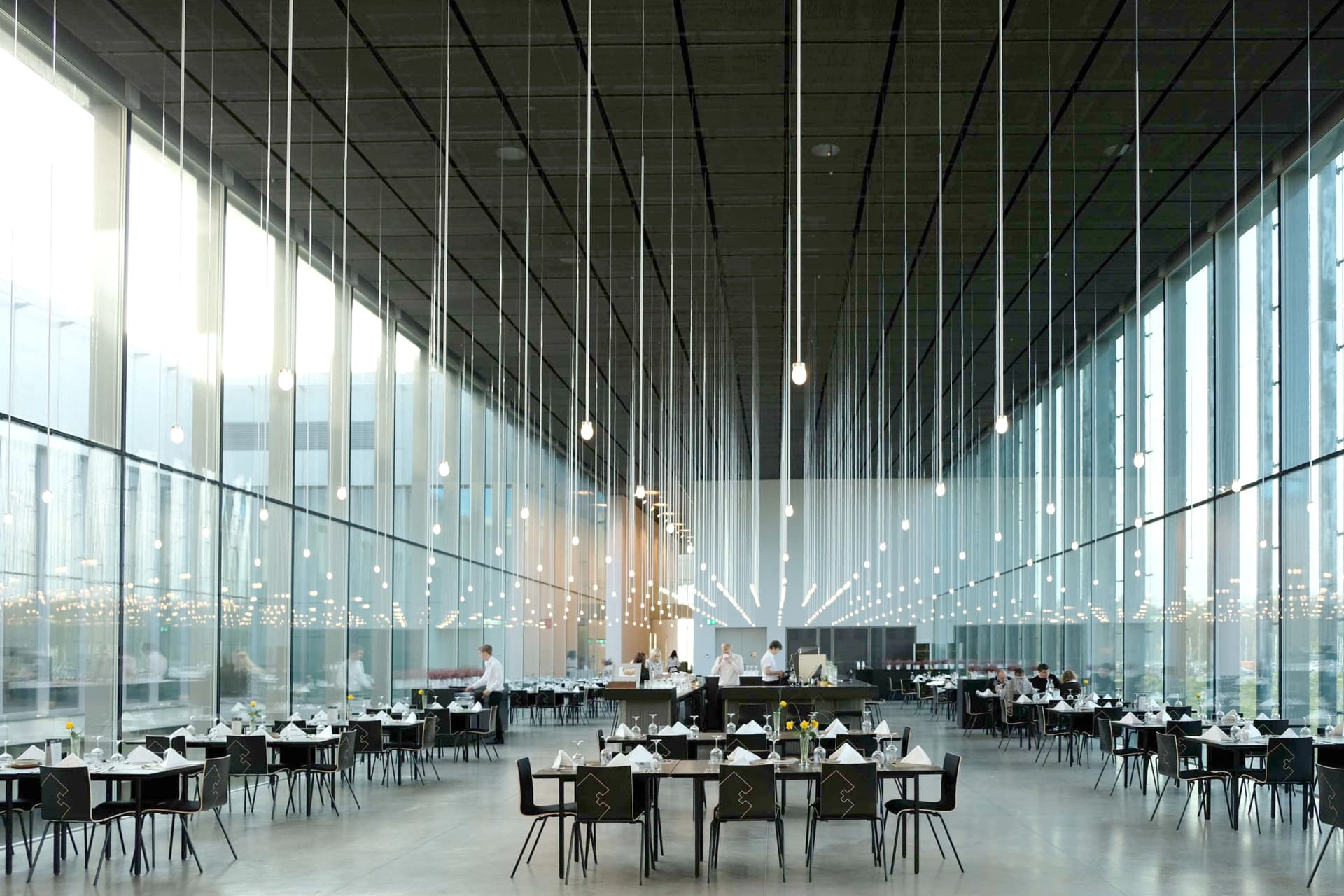 Gallery image 6